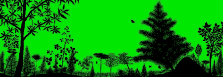 GIF - 12.8 kb