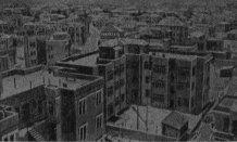 Unu el la novaj centroj en Palestino : Tel-Aviv.